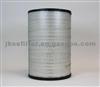 Air Filter C32160 AF25137M