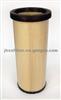 Air Filter AF25138M