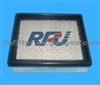 AIR FILTER FOR GM (25095333)