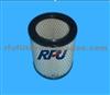 AIR FILTER FOR GM (25096829)