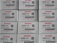 DENSO Valve Assy 294200-0170 Original And New