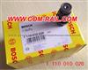 BOSCH Rail Pressure Resist Valve 1 110 010 028