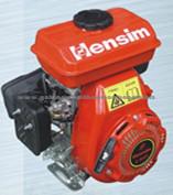 Gasoline Engine