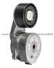 Tensioner 1371788