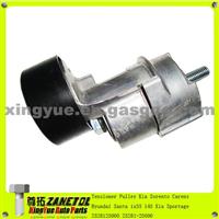 Car Auto Engine Tensioner Pulley For Hyundai Santa Ix35 I45 Kia Sportage Kia Sorento Carens 2528125000 25281-25000