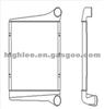 Radiator WG9112530269 For Styer