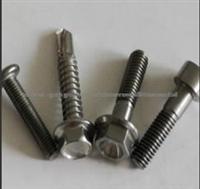 Titanium Car Bolt