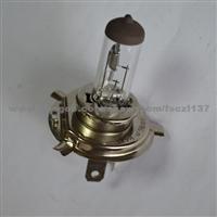 H4 12/24v Automotive Halogen Lamp With Tube Drawing