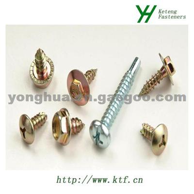 Hex FLG Head Tapping Screw ST4.8*16C