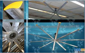 HVLS Ceiling Fan