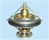 Thermostat, Coolant For BMW 1710953/11 53 1 713 040