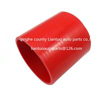 Man Hose Straight Coupling Silicone Hose 81.96301.0594