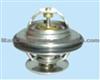 Thermostat, Coolant For AUDI 209780312