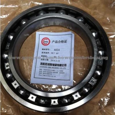 Deep Groove Ball Bearing 6024