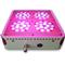 New York,Los Angeles Full Spectrum LED Grow Lights For Greenhouse