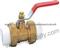 Brass PPR Ball Valves