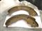 BRAKE SHOES Volks\Vagen Caddy, VW GOLF, Volkswagen Jetta