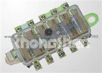 Fuse Box ZS02-FB016