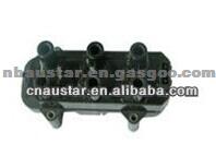 0221 503 010 Auto Ignition Coil