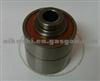 Tensioner 800244B