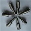 Diesel Pump Nozzles (Dlla146p166, DLLA144P184)