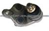 43330-29185 43330-29145 43330-29146 Ball Joint