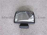 Mirror WG1642770099/1