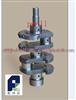 Reasonable Price Crankshaft T25 21-1005010B2