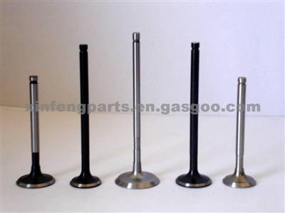 High Quality Engine Valve For VOLKSWAGEN/AUDI A6