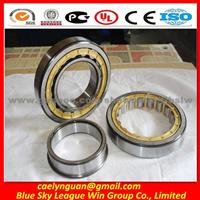 Nu313 Cylindrical Roller Bearing