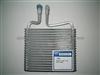 Zhejiang Shuangkai SKCZ019-027 FORD EXPEDITION/F150/LARIAT 2003-2004 2L1Z19860DA 7L3Z19860A EVAPORATOR Cooling Coil Auto Air Condition
