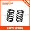 VALVE SPRING FORD RFN 6923244