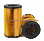 Mercedes Benz Auto Filter Element 6111800009