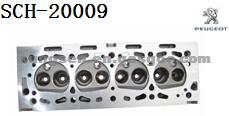 Peugeot PG405 Cylinder Head