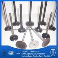 All Kinds Of Auto Engine Valve