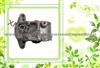 Engine Mounting 11221-64J02 Used For Nissan