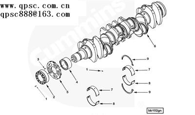 Cummins ISX Clamp, Spring Hose 3925089