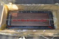 Cummins Diesel Engine Parts Oil Cooler 3032030