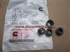 Cummins ISM Valve Oil Seal 4003966
