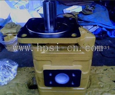 Hydraulic Gear Pump CBGJ3166 For Excavator