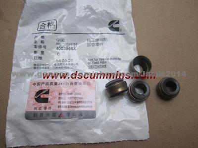 Cummins ISM Valve Oil Seal 4003966