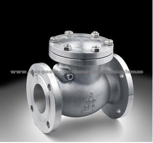 Titanium Check Valve