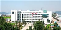 Shandong Luyang Share Co. , Ltd.