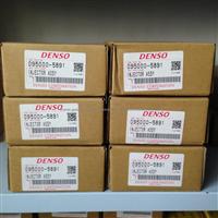 Denso Common Rail Injector 095000-5891 Original