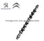 Peugeot XUD9 DW8 Camshaft