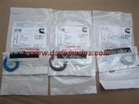 Injector Oil Seal Ring 3070137