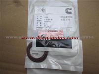 Injector Oil Seal Ring 3070136