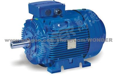 WE SERIES(IE2) THREE PHASE ASYNCHRONOUS MOTORS