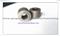 Special Round Stainless Steel 304 Nuts,Non Standard Spacer Used In Automobile