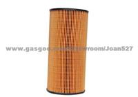 6061800009 Car Oil Filter Element